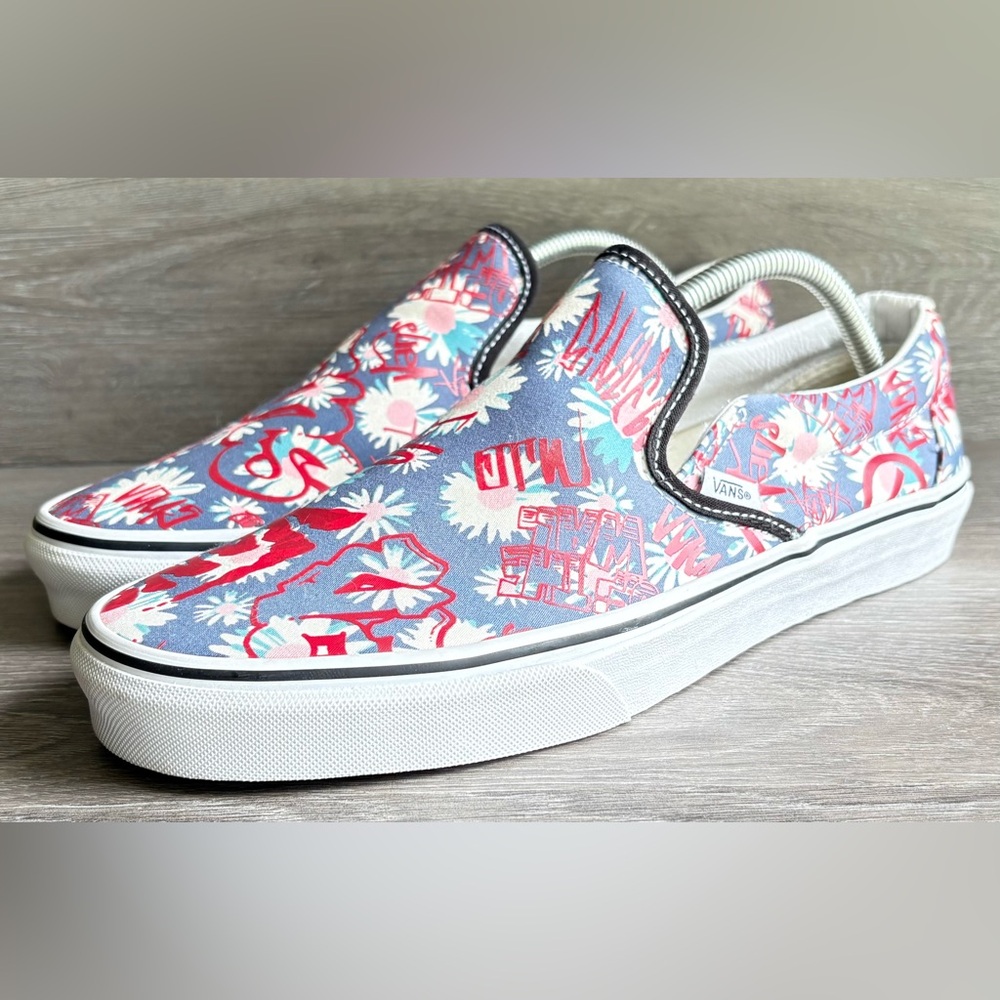 Vans Graphic Slip-On Sneakers in Blue and Red